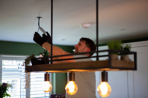 Best Electric Panel Repair  in Nevada, TX